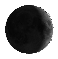 Mond